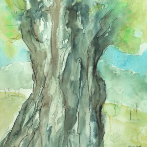 aquarell baum